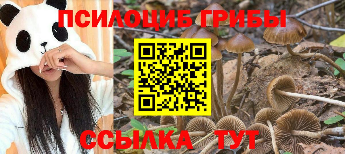 Иваново  Псилоцибиновые грибы мухоморы  Вход с VPN  где можно купить   Галлюциногенные грибы Magic Shrooms 